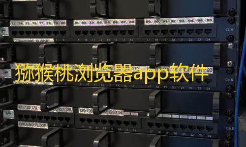 哒哒工具箱,三角洲下载猕猴桃浏览器app软件